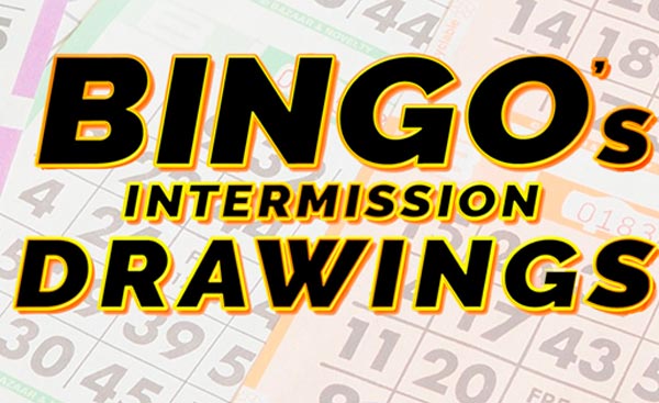 bingo-drawings_thumb.jpg